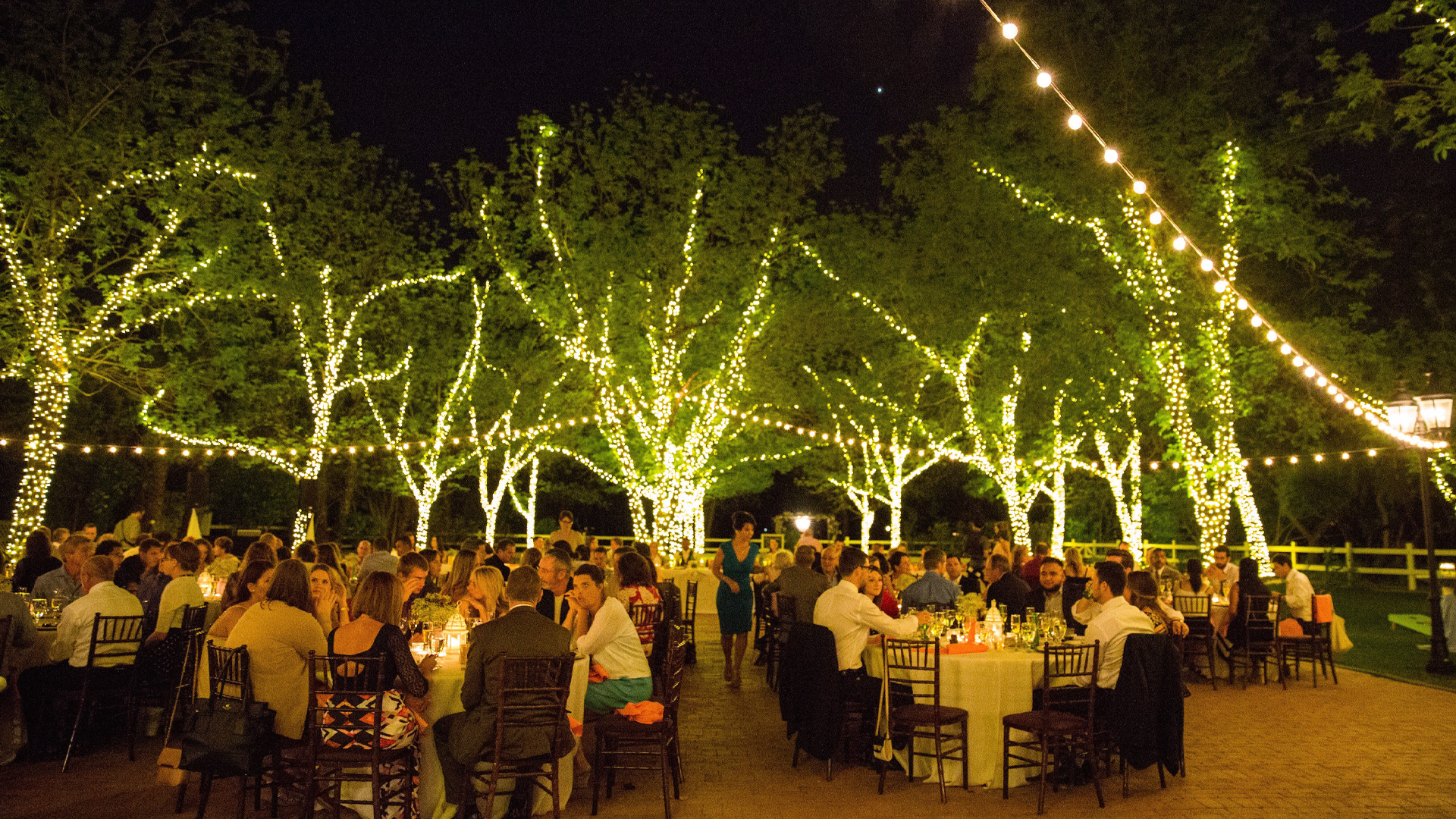 A crowd eating outside at night, with lights strung up and in-between trees